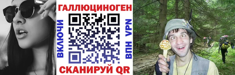 это клад  Новотитаровская  Псилоцибиновые грибы прущие грибы  OMG ССЫЛКА 